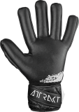 Reusch Attrakt Gold NC 5470155 7700 black back